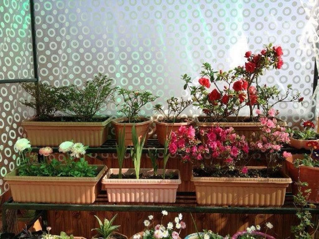 Magnolia Residency Darjeeling (West Bengal)