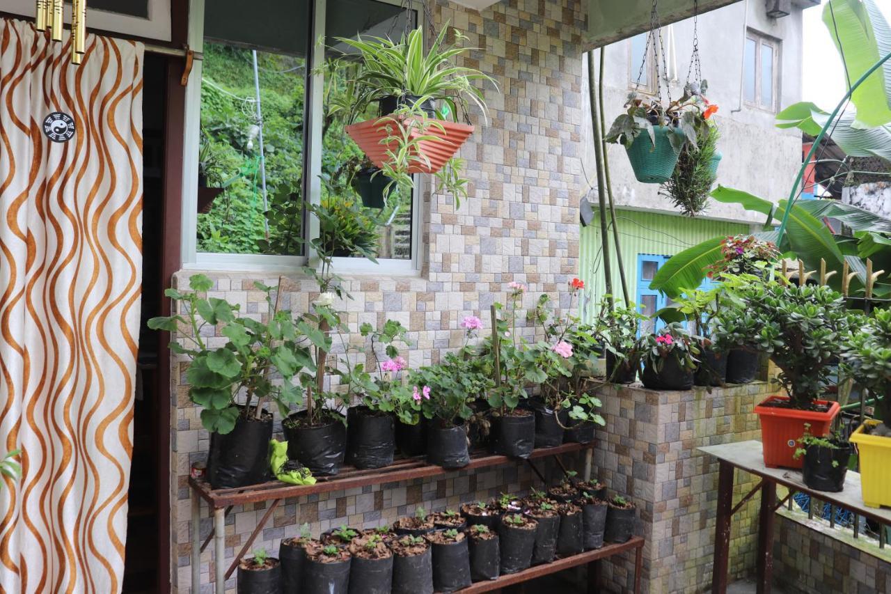 Sparrow Nest Homestay
