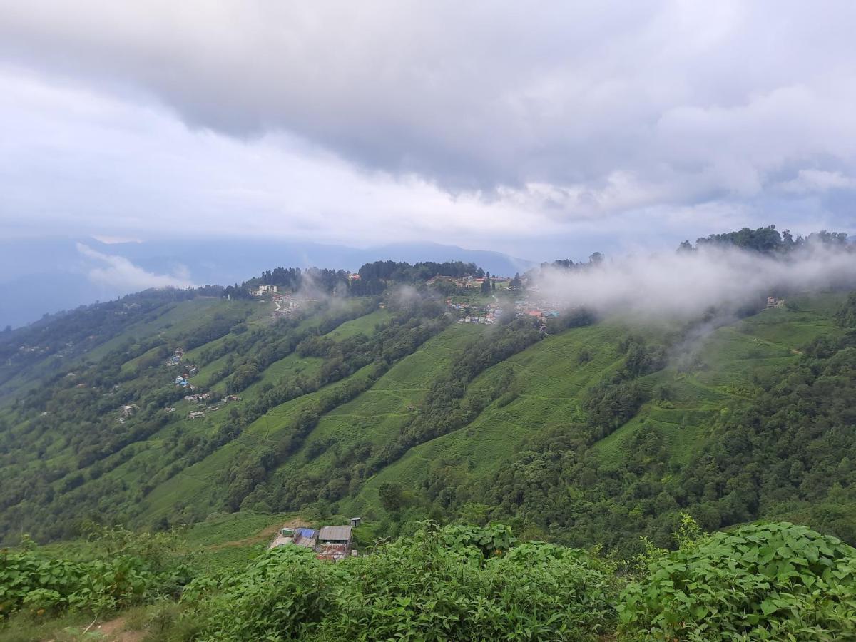 Bubble Beds * Darjeeling (West Bengal)