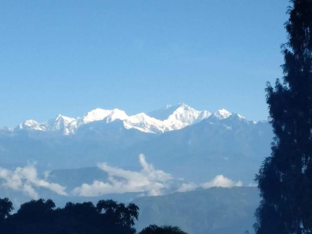 Mountain Meadow Dawaipani
