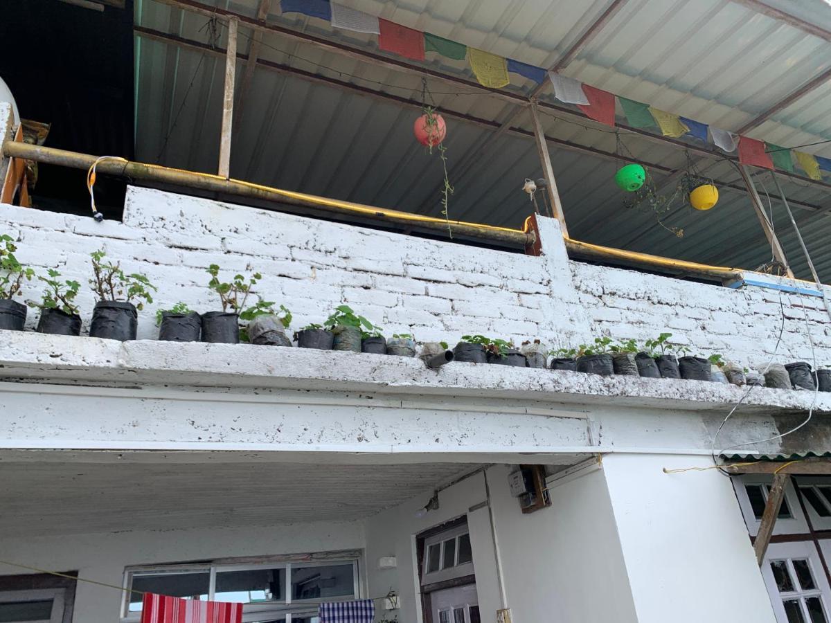 Solo - Backpacker Hostel