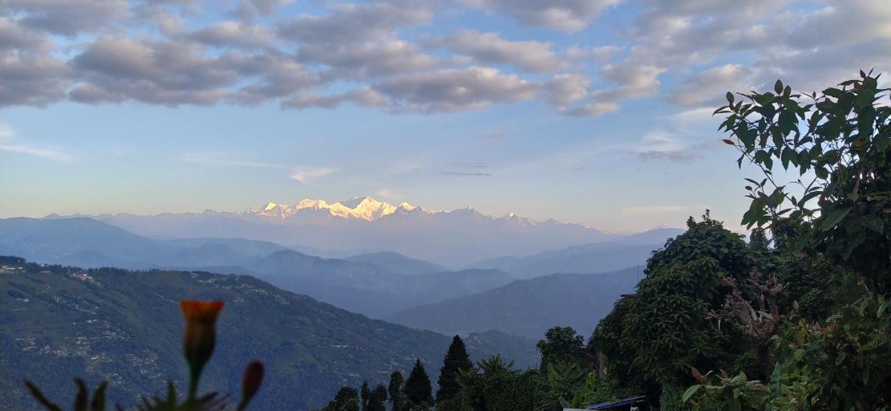 Mountain Meadow Dawaipani *