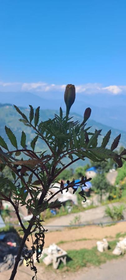 Chalet Mountain Meadow Dawaipani *