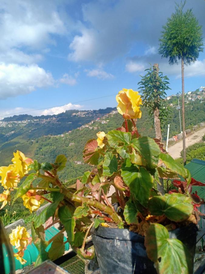 Pinewood Dali * Darjeeling (West Bengal)