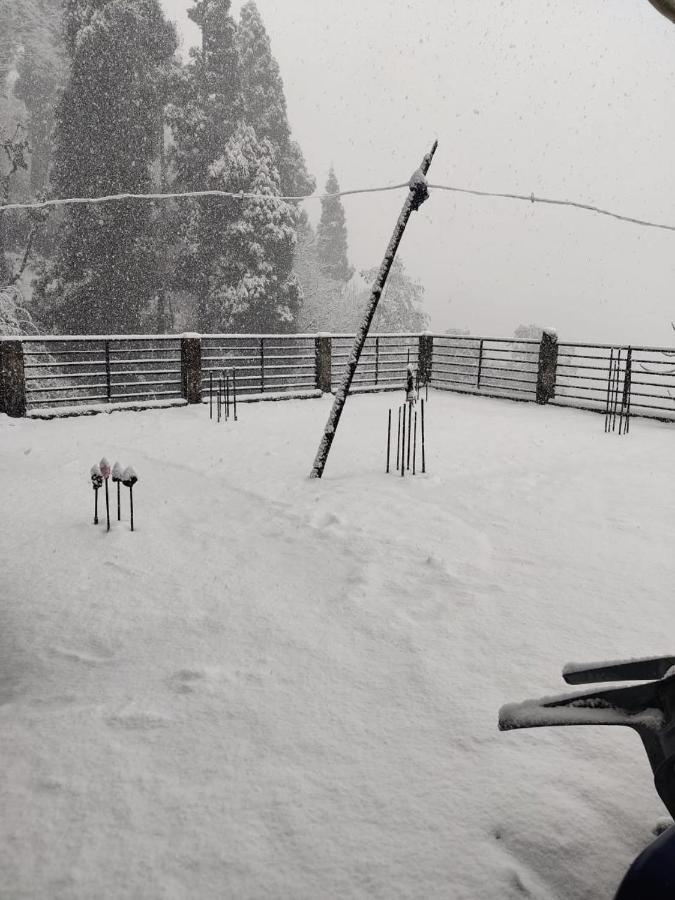 Mountain Homestay *