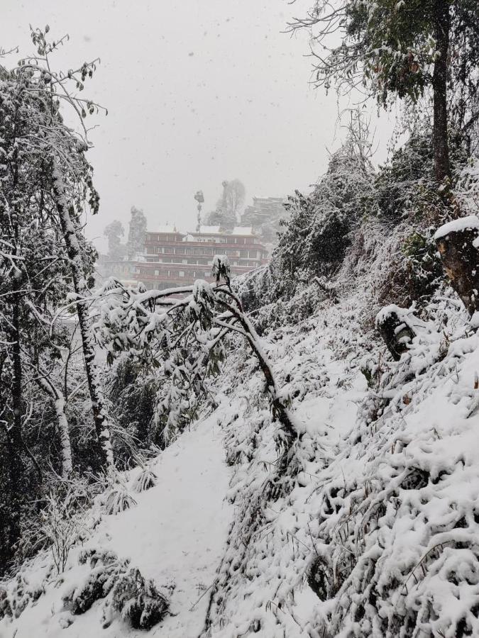 Mountain Darjeeling (West Bengal)
