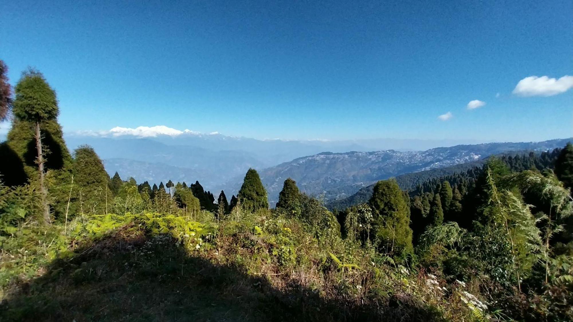 Dumfu Homestay Darjeeling (West Bengal)