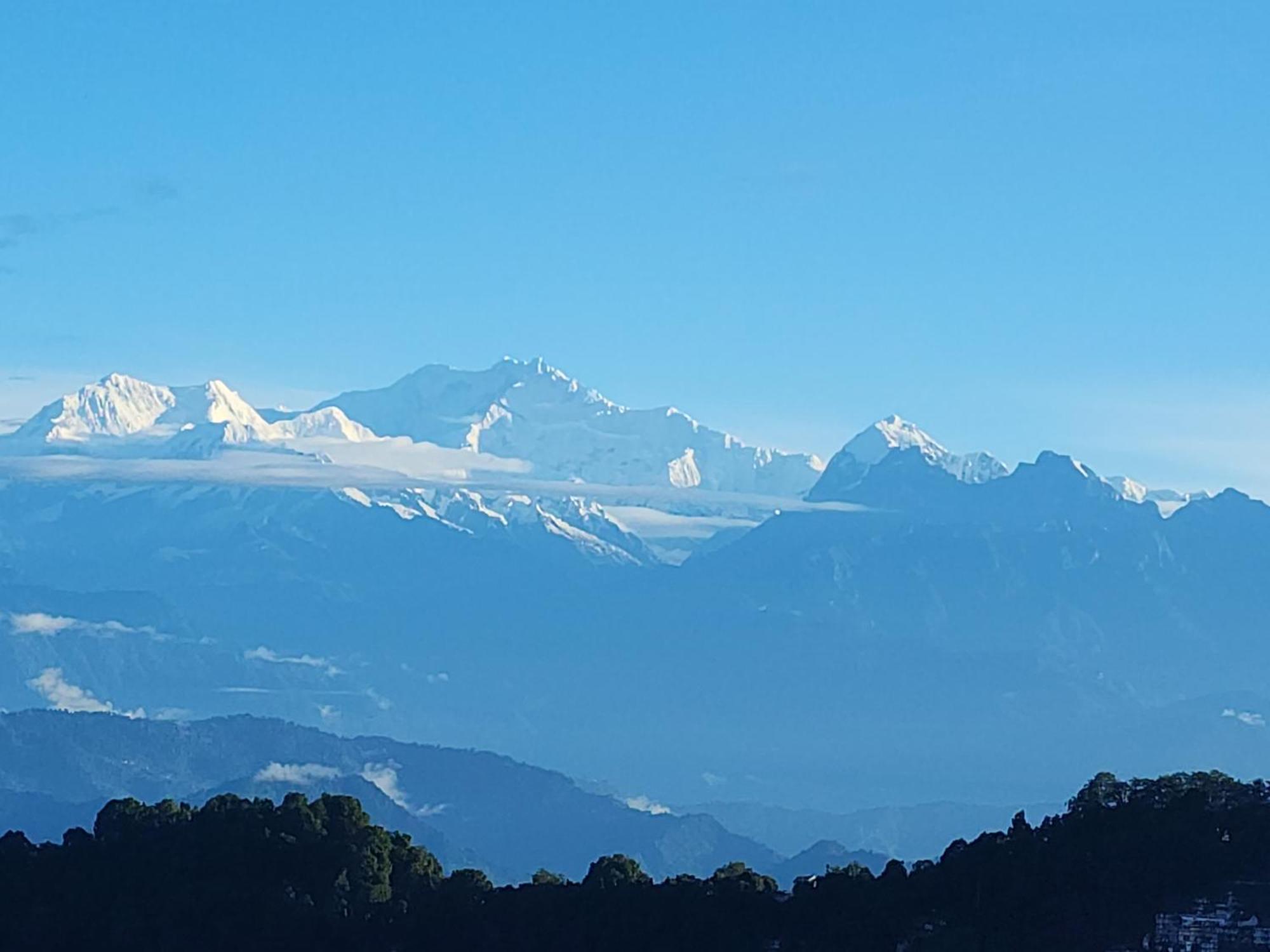 Veronica Alpina Mountain View * Darjeeling (West Bengal)
