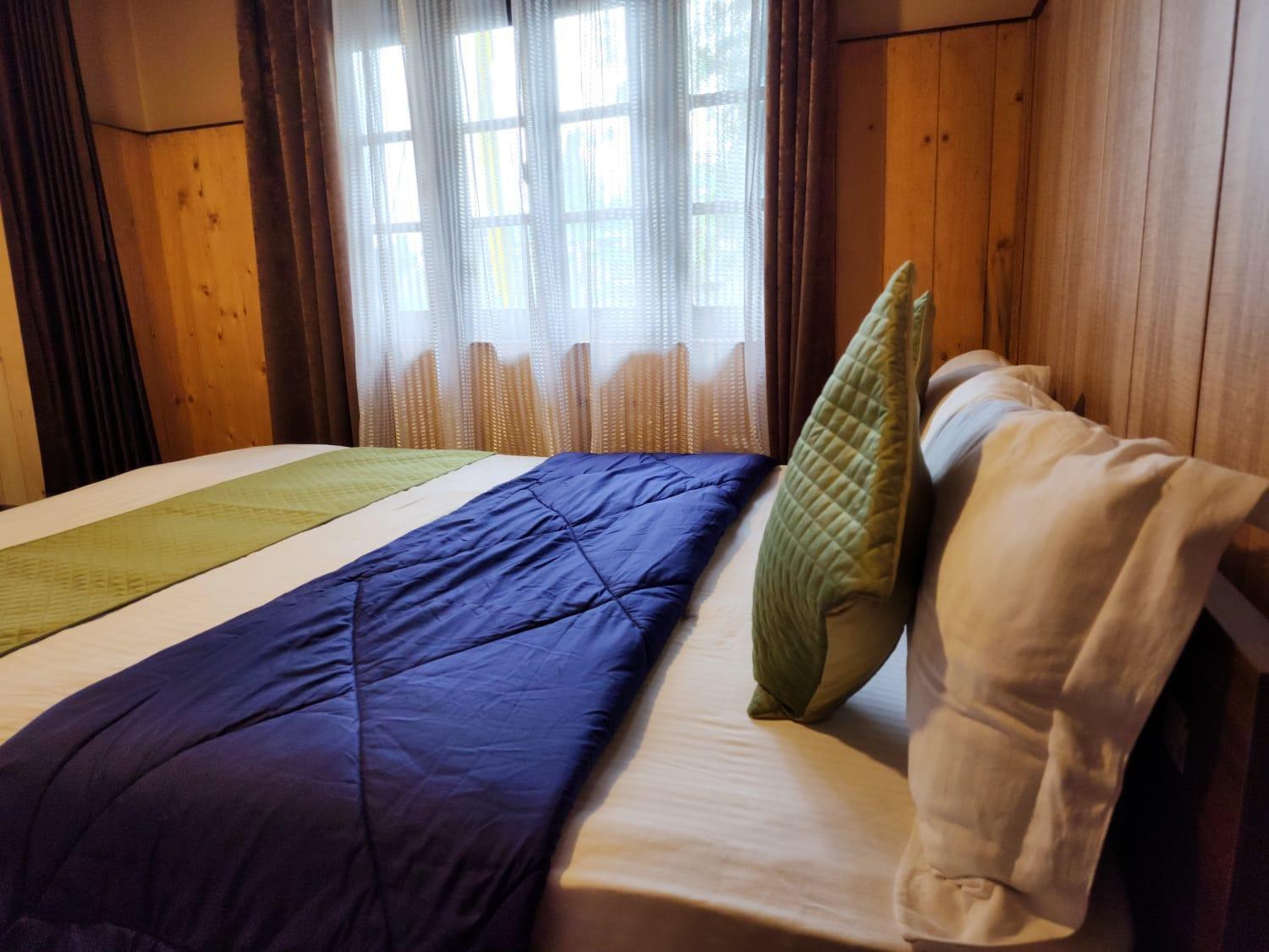 Homestay Veronica Alpina Mountain View *