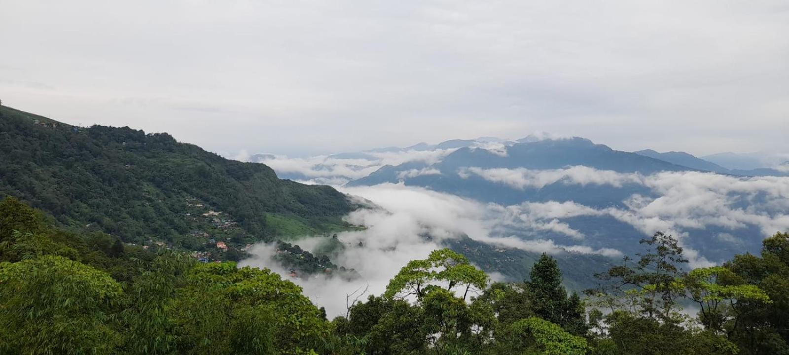 Homestay Tinchulay Vista Retreat