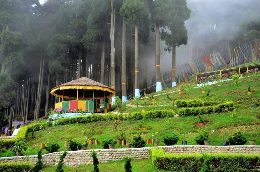 Tinchulay Vista Retreat Homestay Darjeeling (West Bengal)