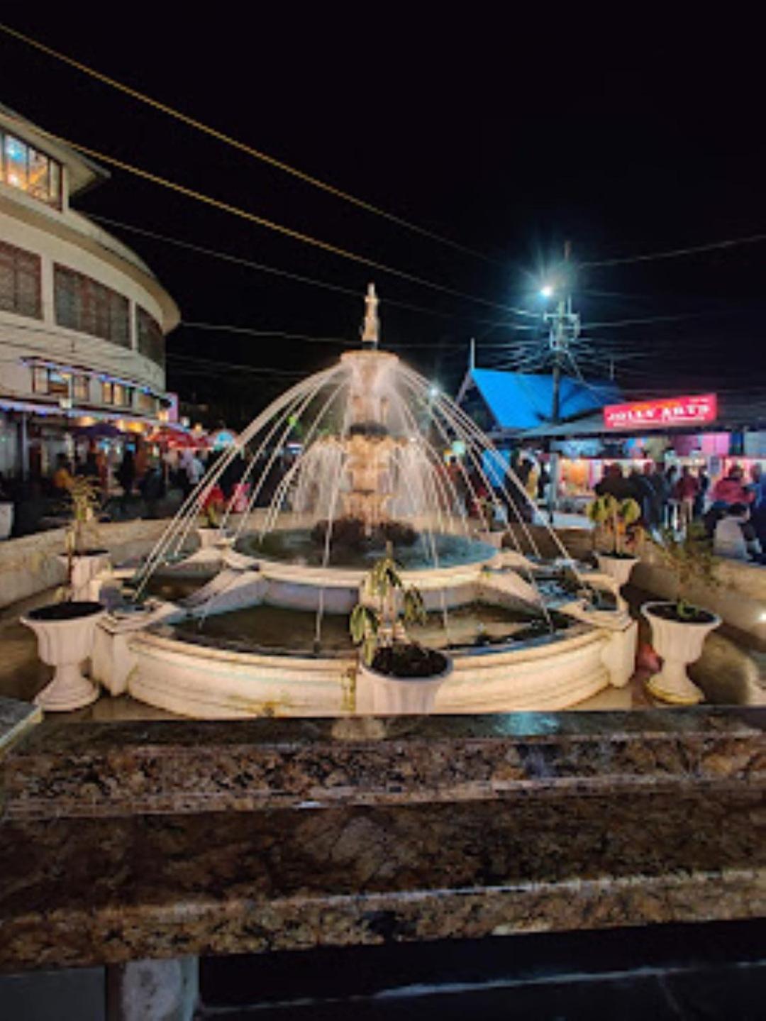 View Point Residency , Darjeeling Darjeeling (West Bengal)