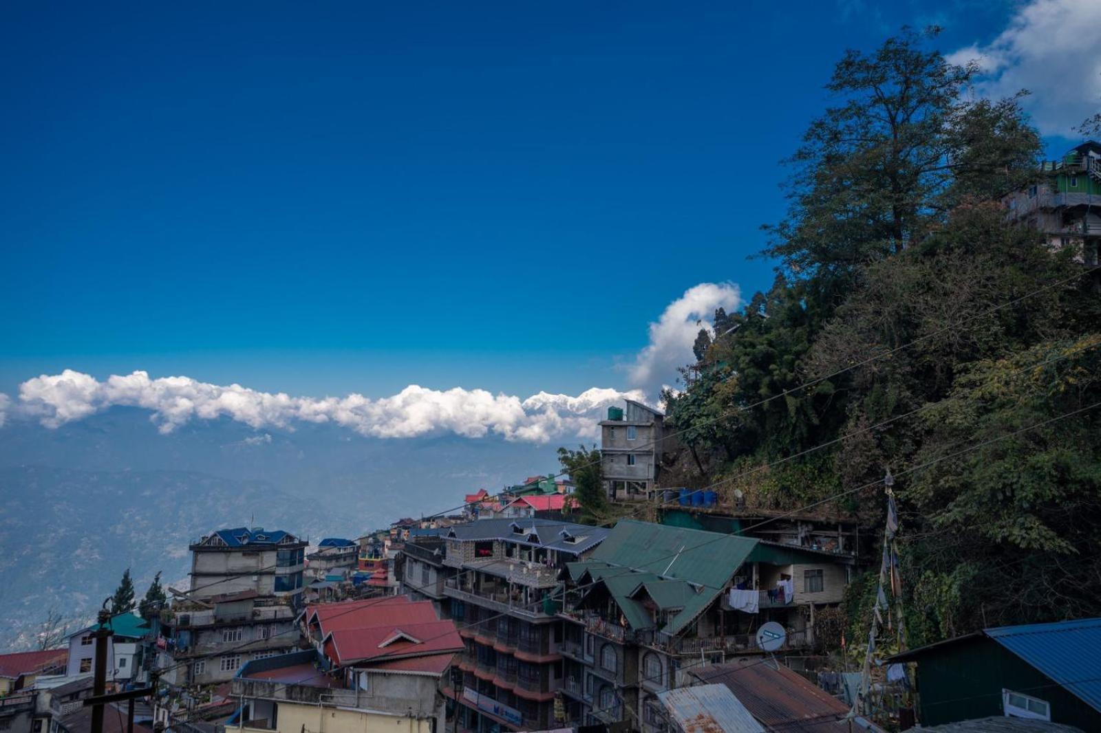 Alpenglow Homestay
