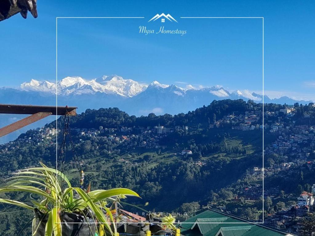 Mysa Darjeeling (West Bengal)