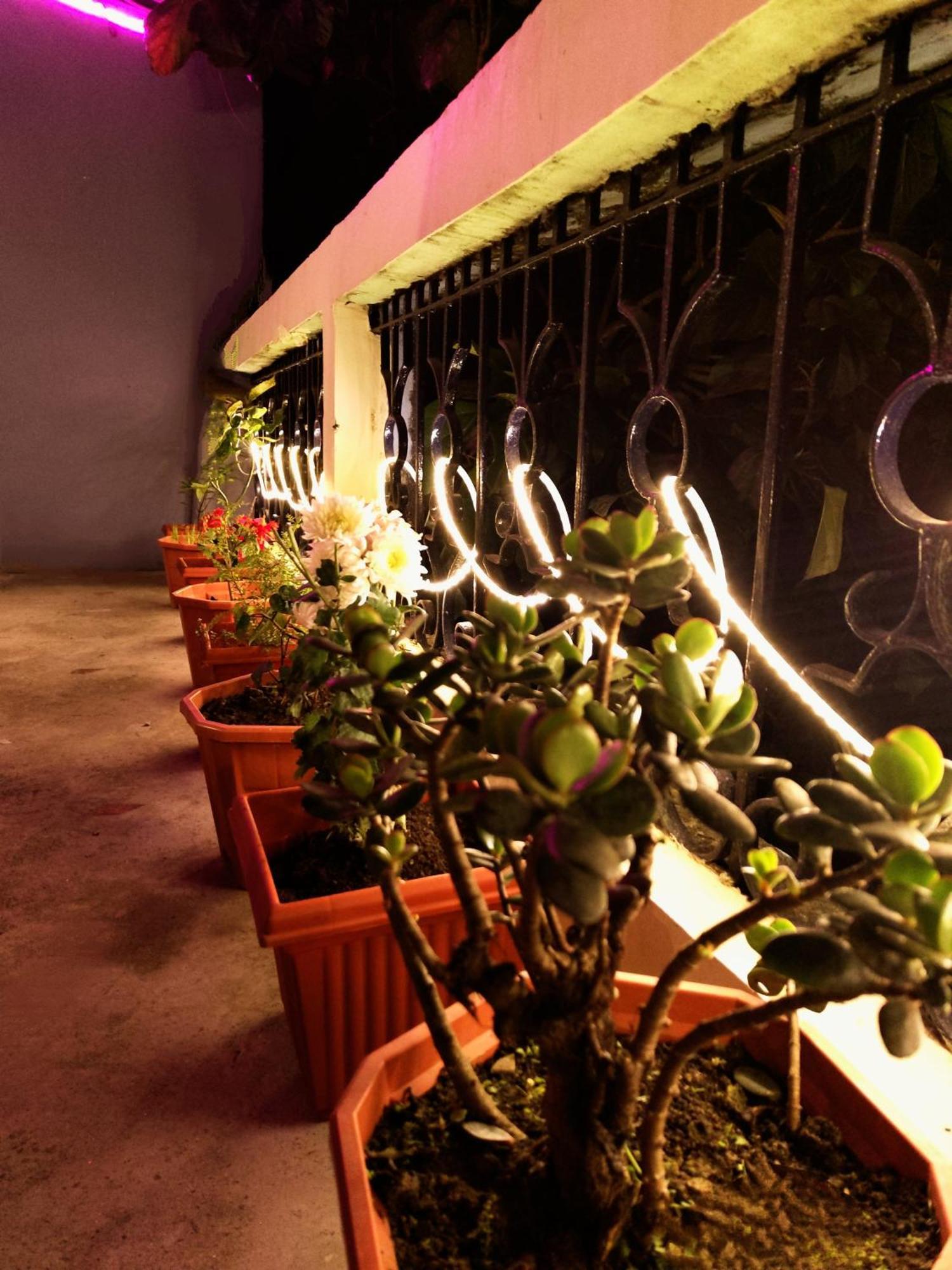 Hostel Hidden Monkey Backpackers, Railway Station, Darjeeling