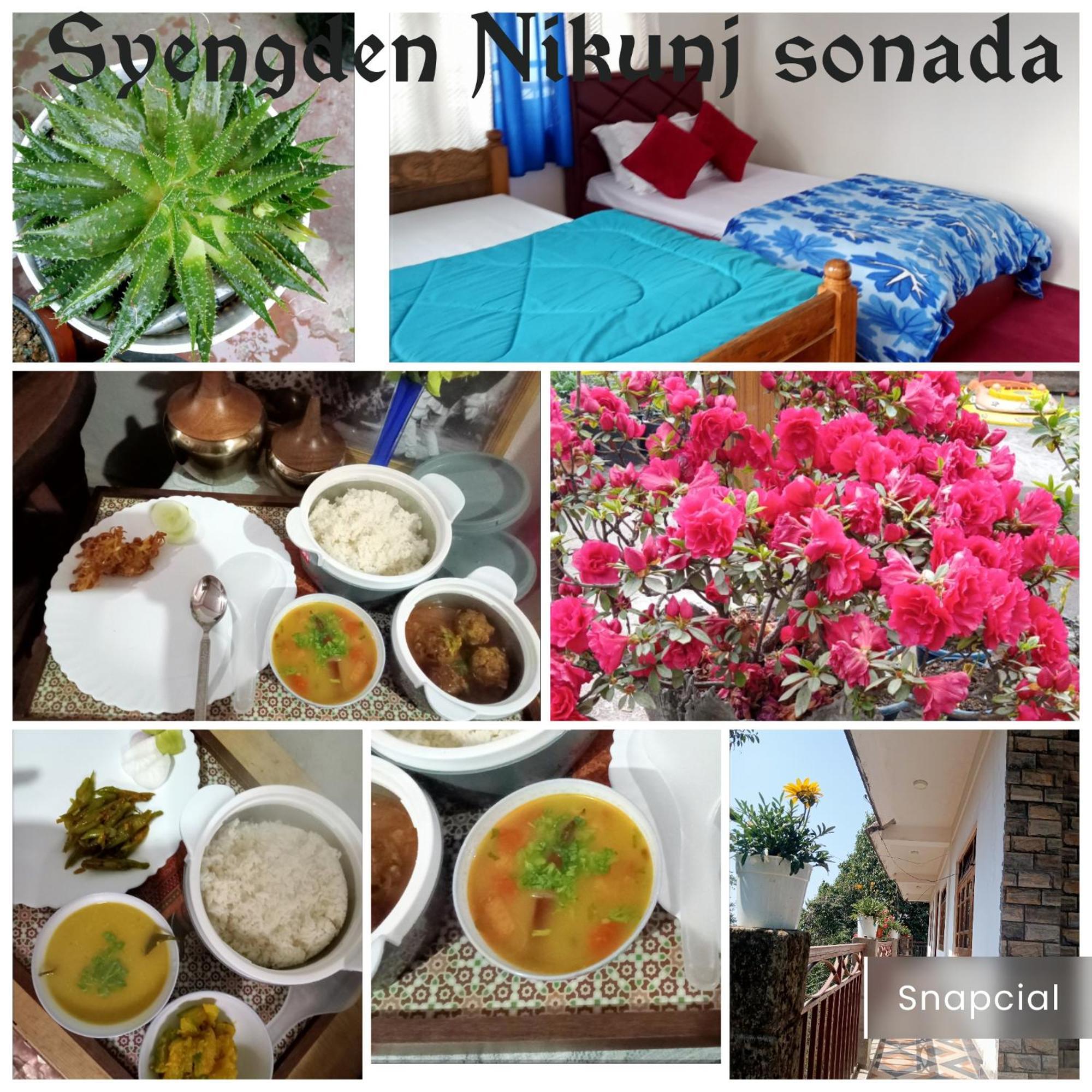 Syengden Nikunj Darjeeling (West Bengal)