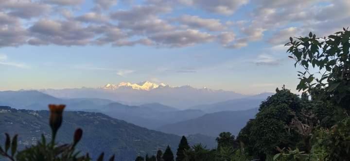 Mountain Meadow Dawaipani *