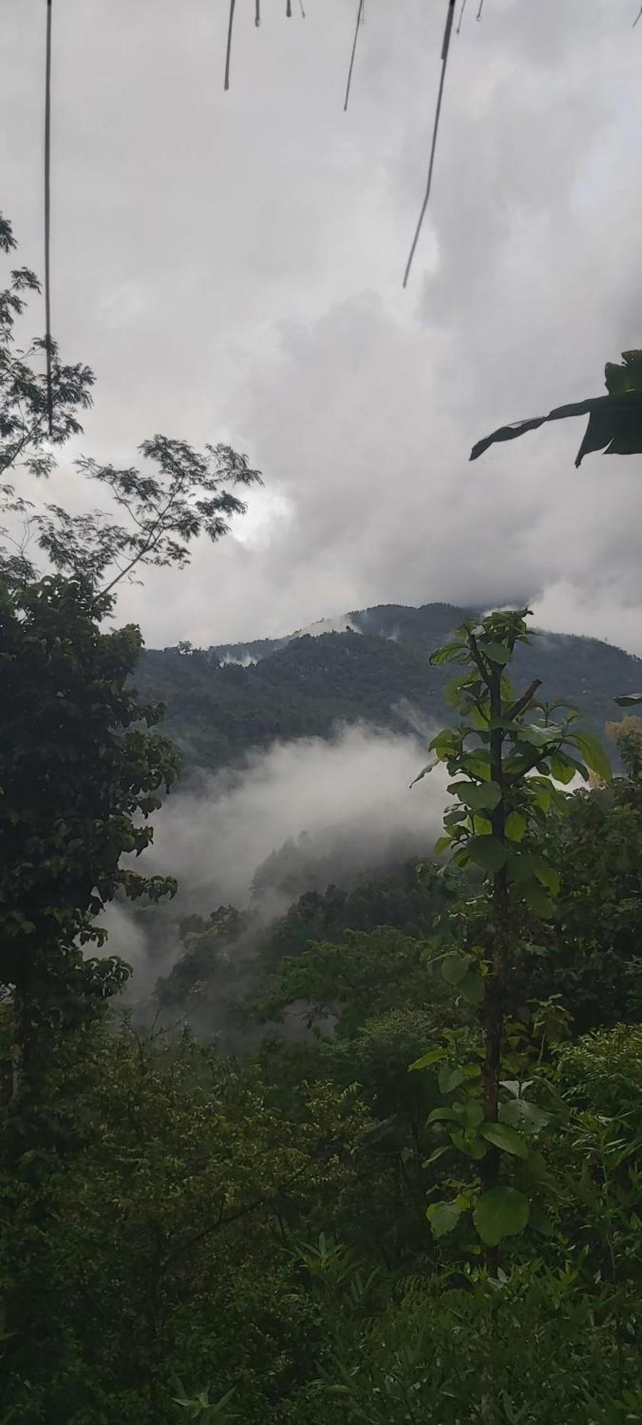 Eviana Homestay