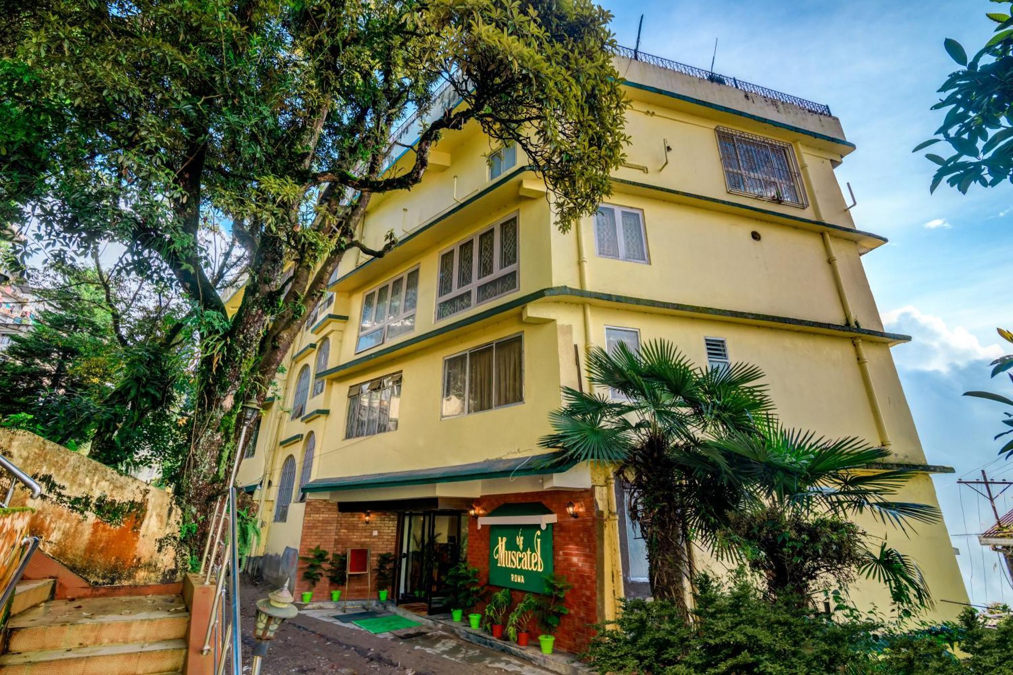 Muscatel Roma - 400 Mts From Mall Road Hotel
