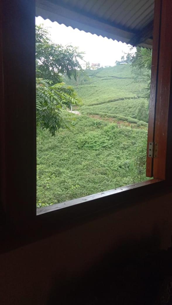 Homestay Sandeep Darjeeling (West Bengal)