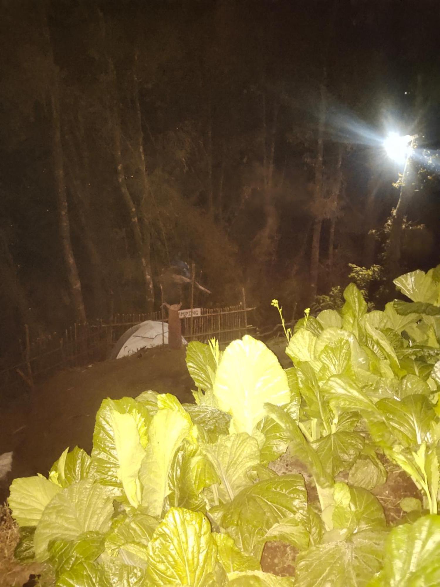 Farm stay Wood Locs Farm & Darjeeling (West Bengal)