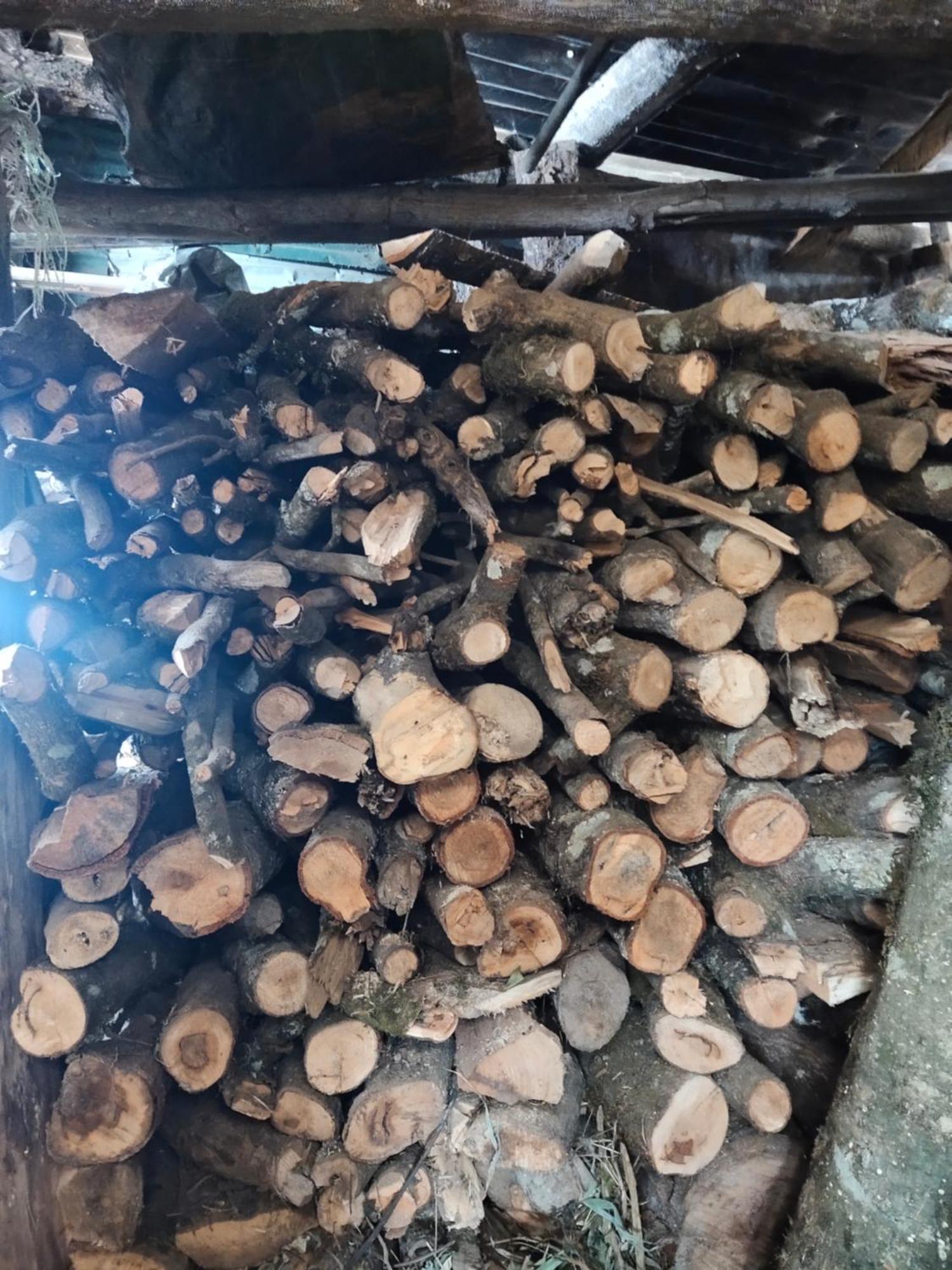 Wood Locs Farm & Darjeeling (West Bengal)