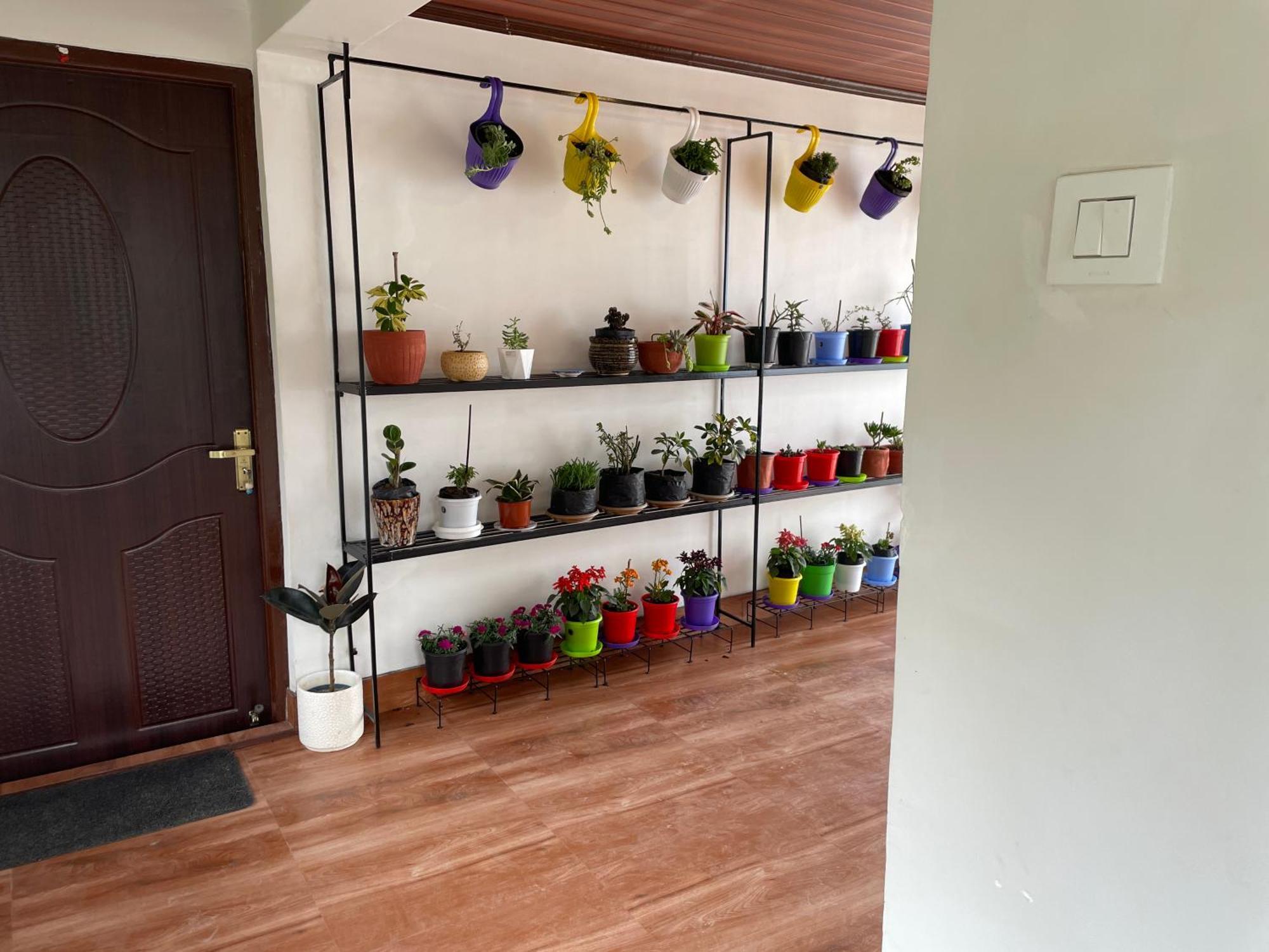 Sangrup Homestay Darjeeling (West Bengal)
