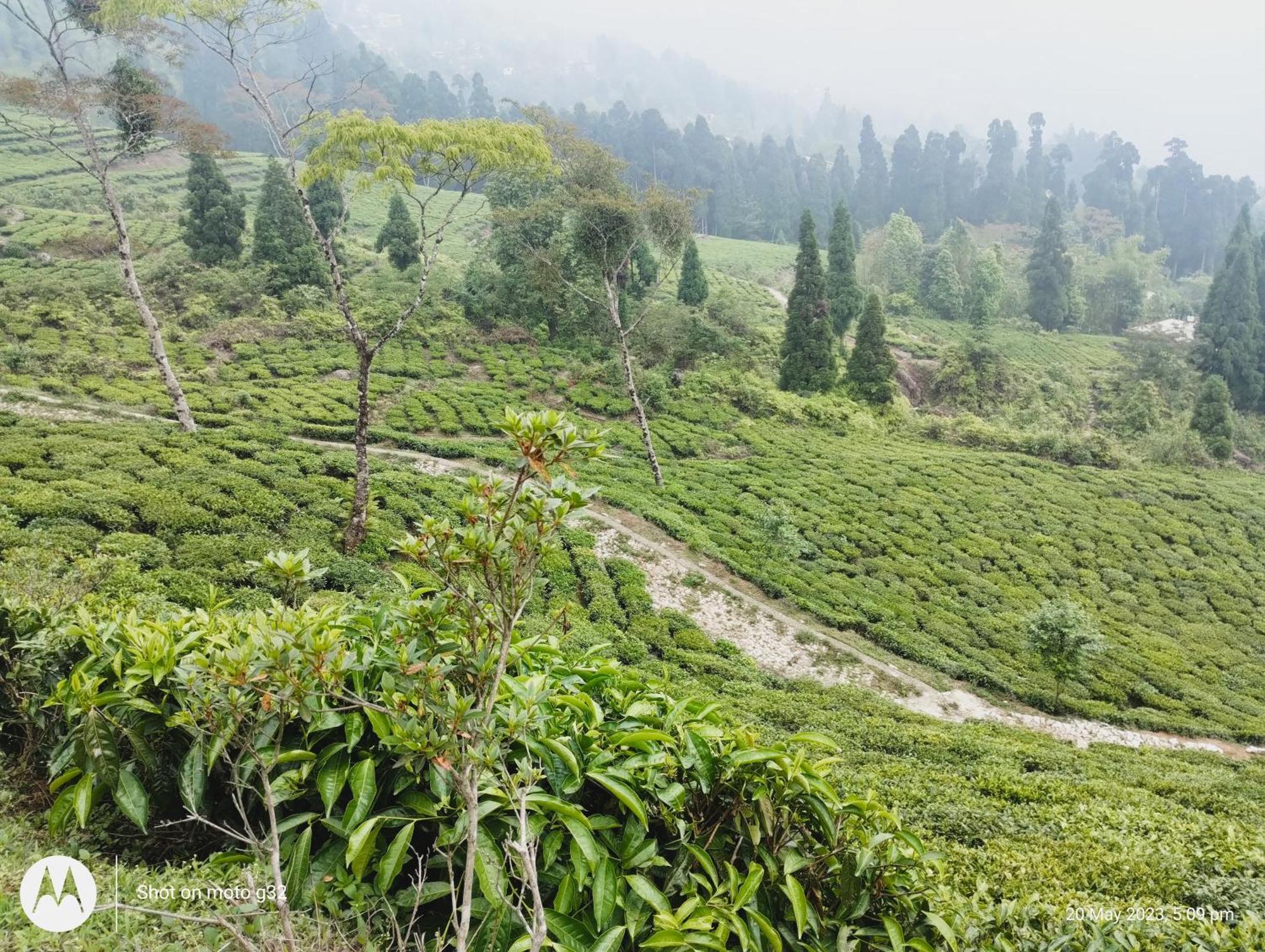 Meera Homestay