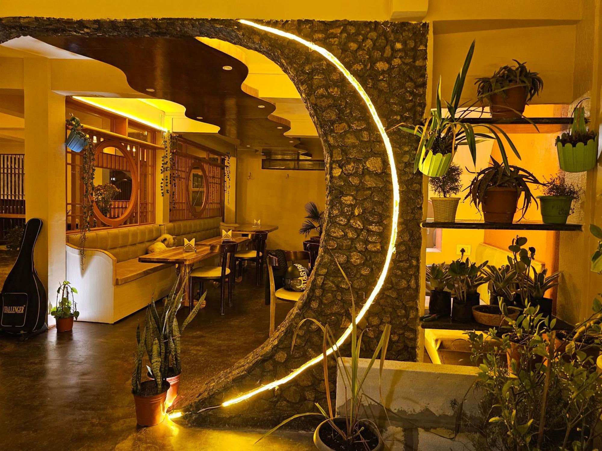 Golden Orchid