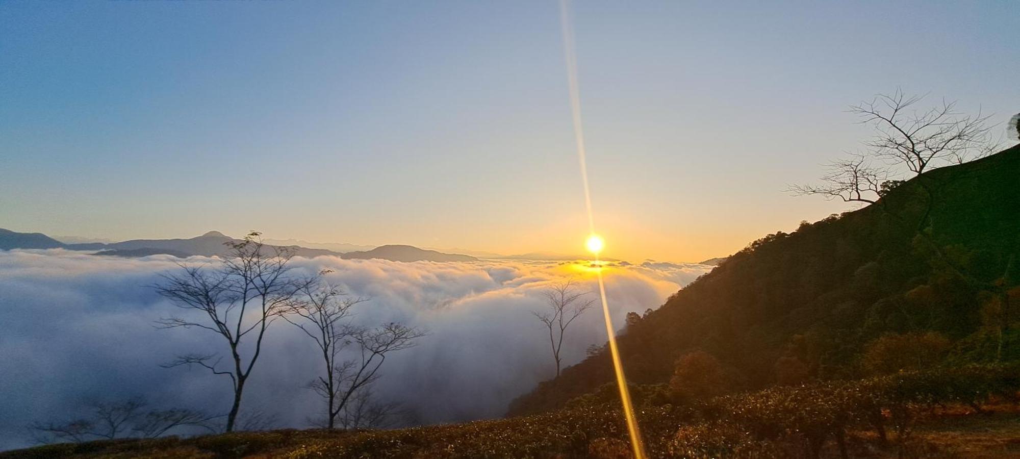 Rajpankchi Junglestay * Darjeeling (West Bengal)