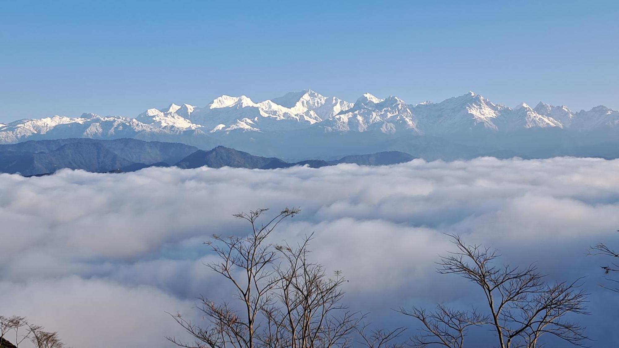 Rajpankchi Junglestay Darjeeling (West Bengal)