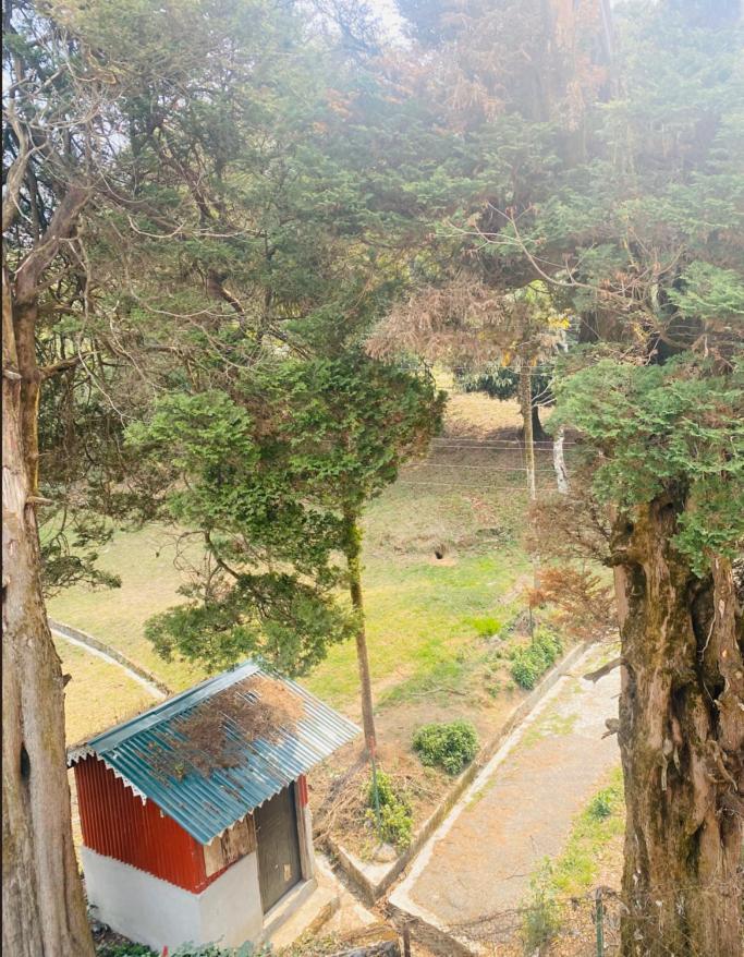 Homestay Sangrup *