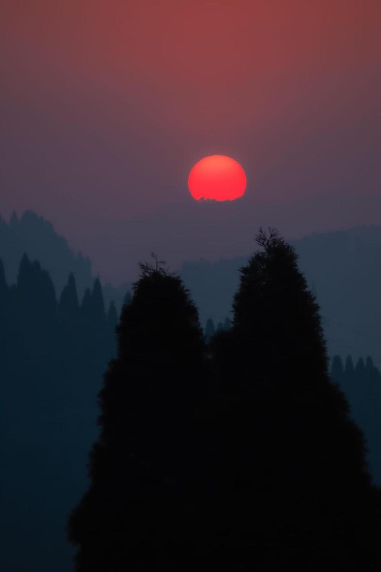 Graham Hill's * Darjeeling (West Bengal)