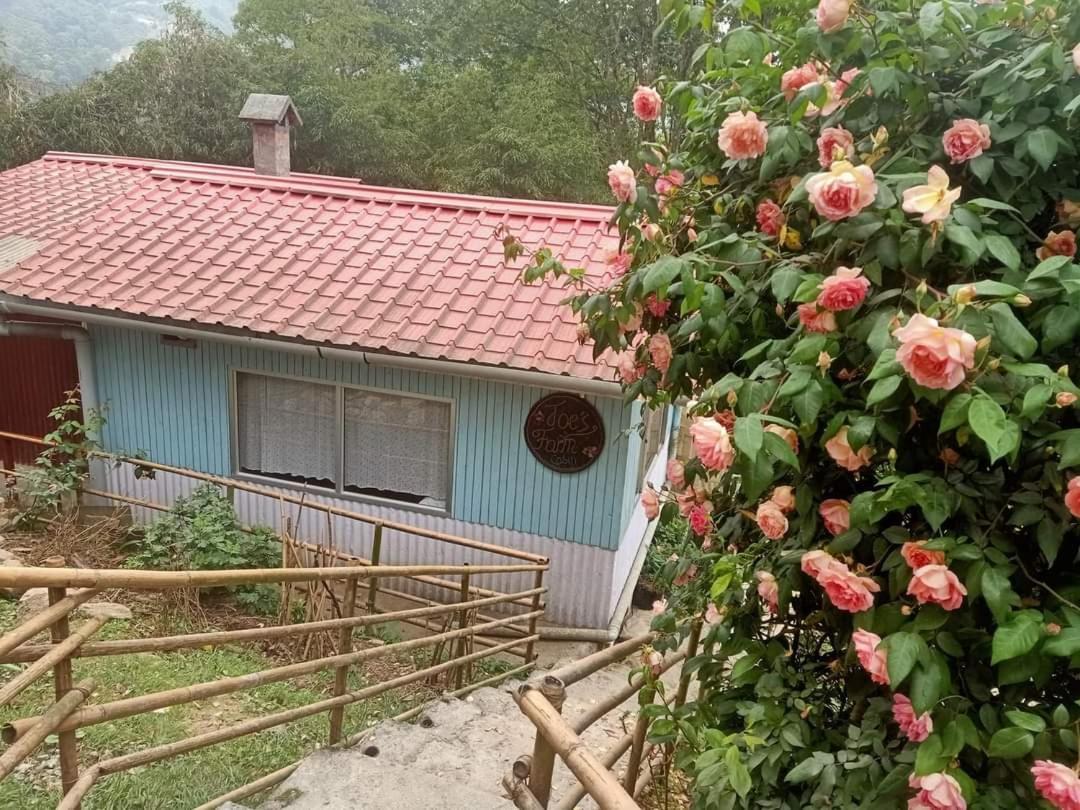 Joe's Farm Farm stay