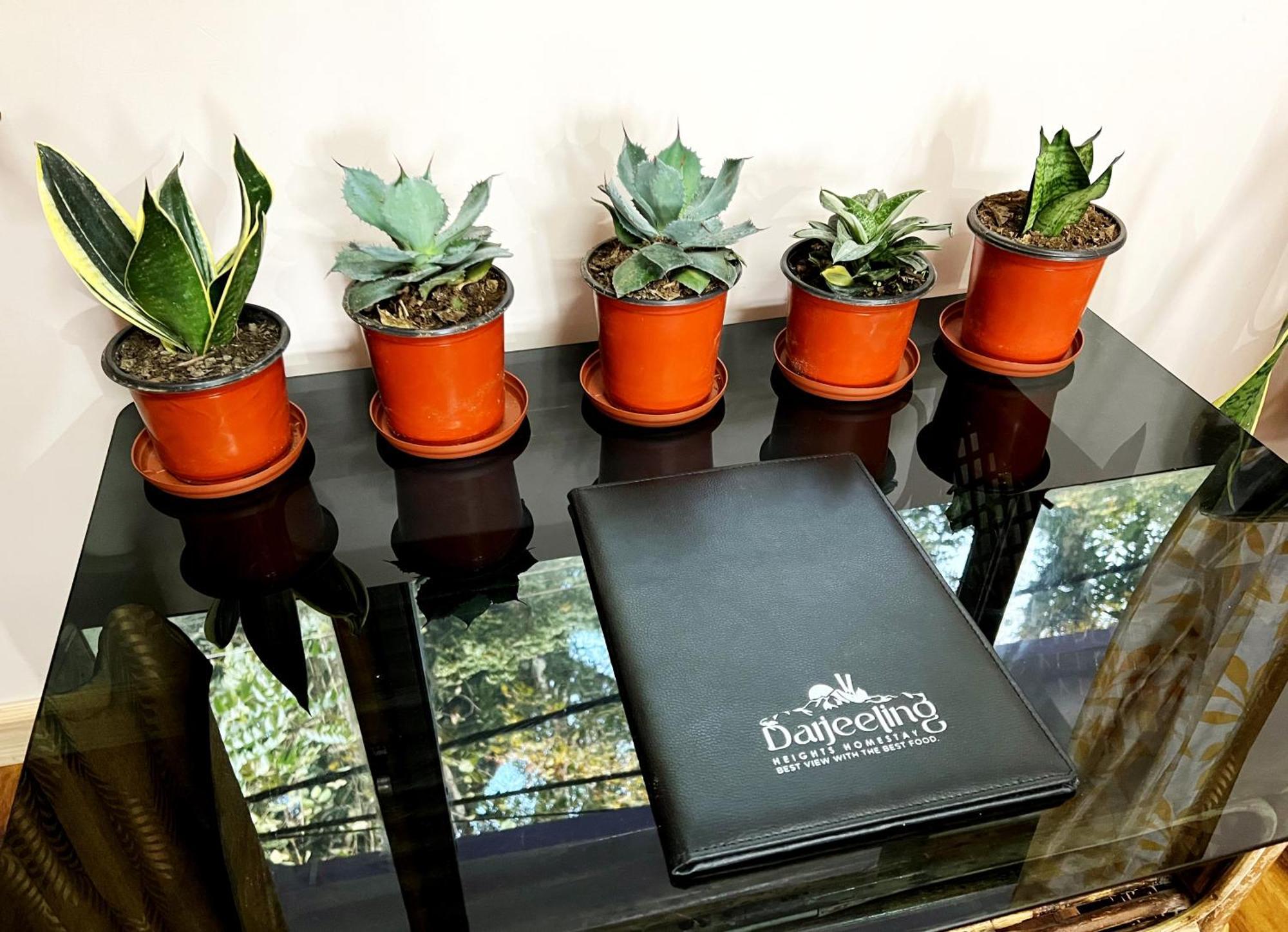 Homestay Darjeeling Heights - A Boutique Mountain View
