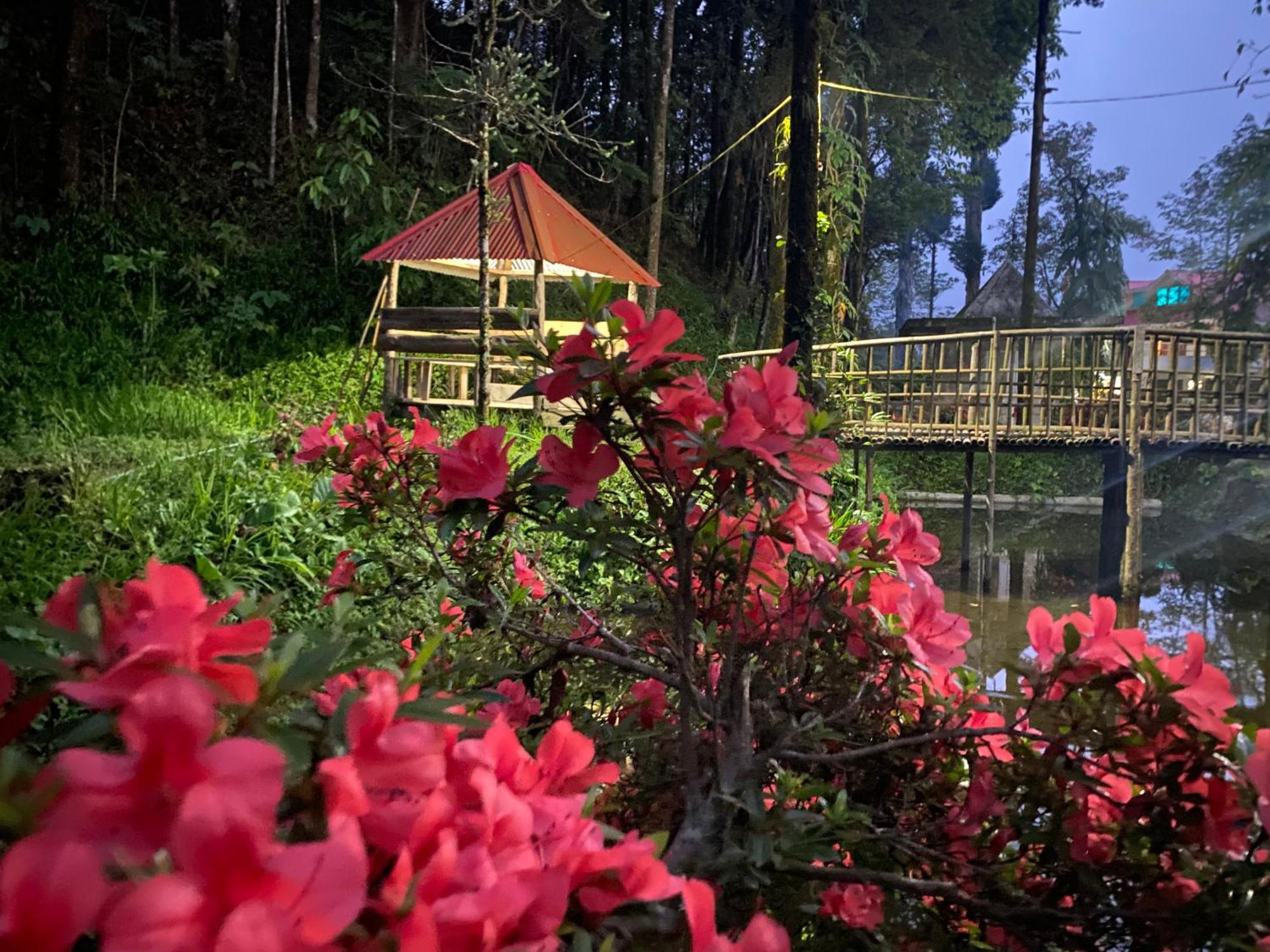 Homestay Bloomfield And Eco-resort