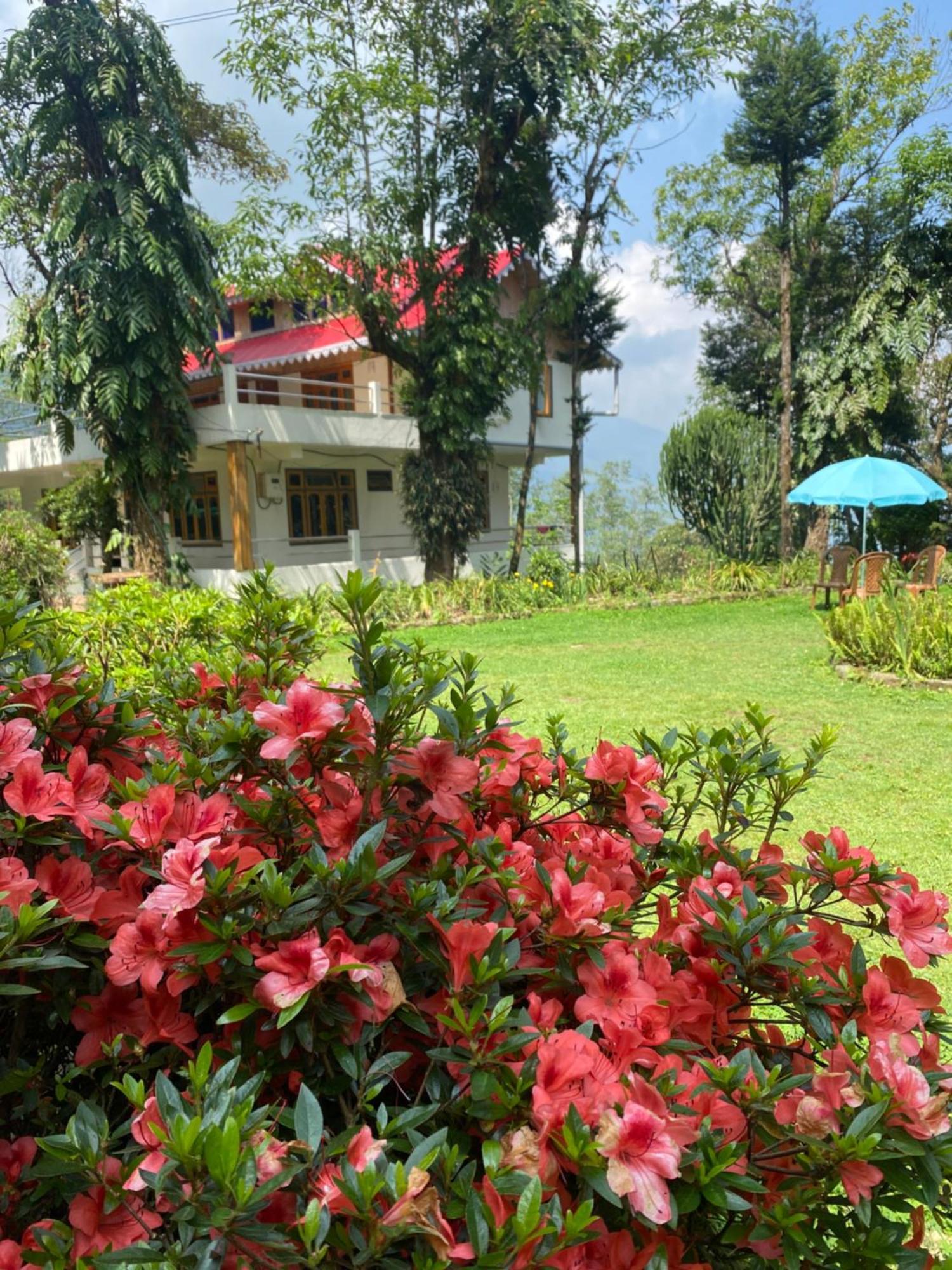 Bloomfield And Eco-resort Homestay