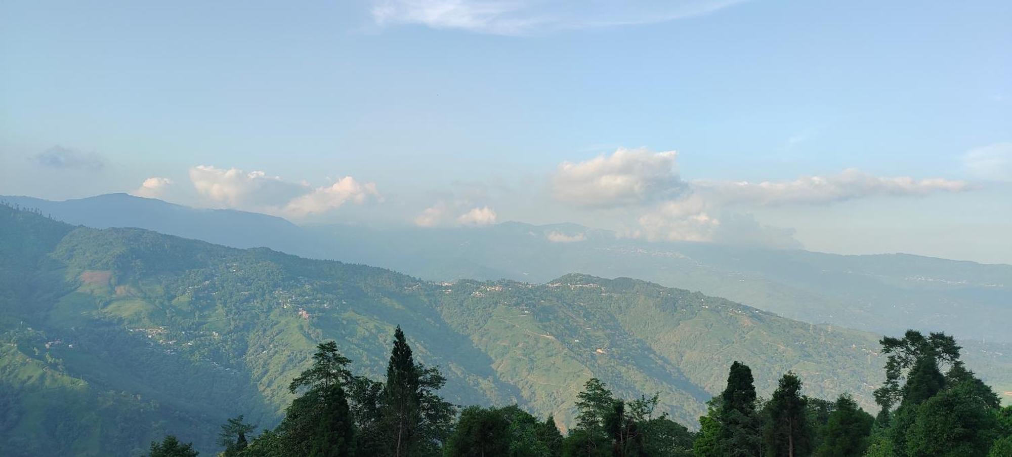 Stone And Pine * Darjeeling (West Bengal)