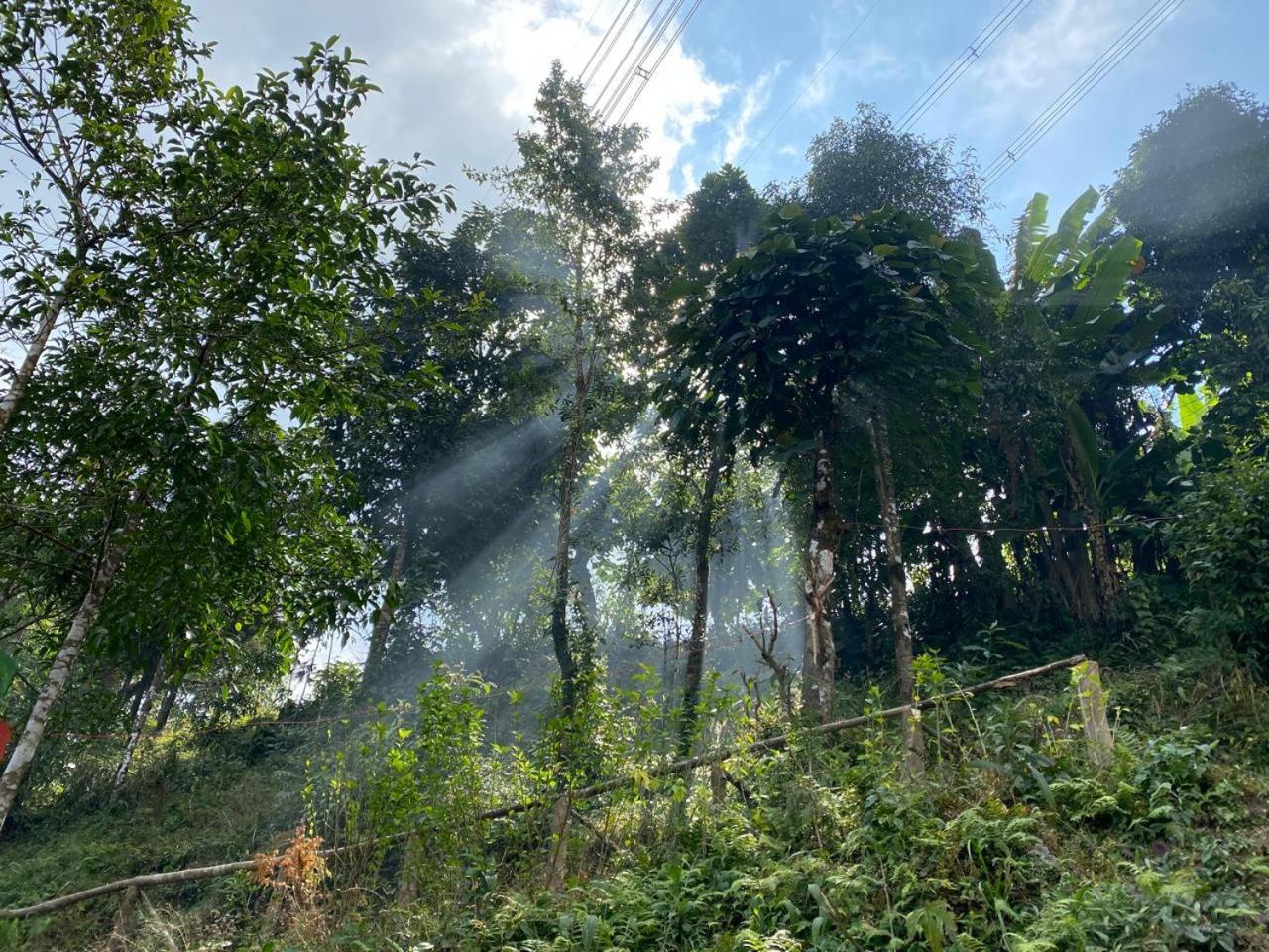 Holiday home Stone And Pine Darjeeling (West Bengal)