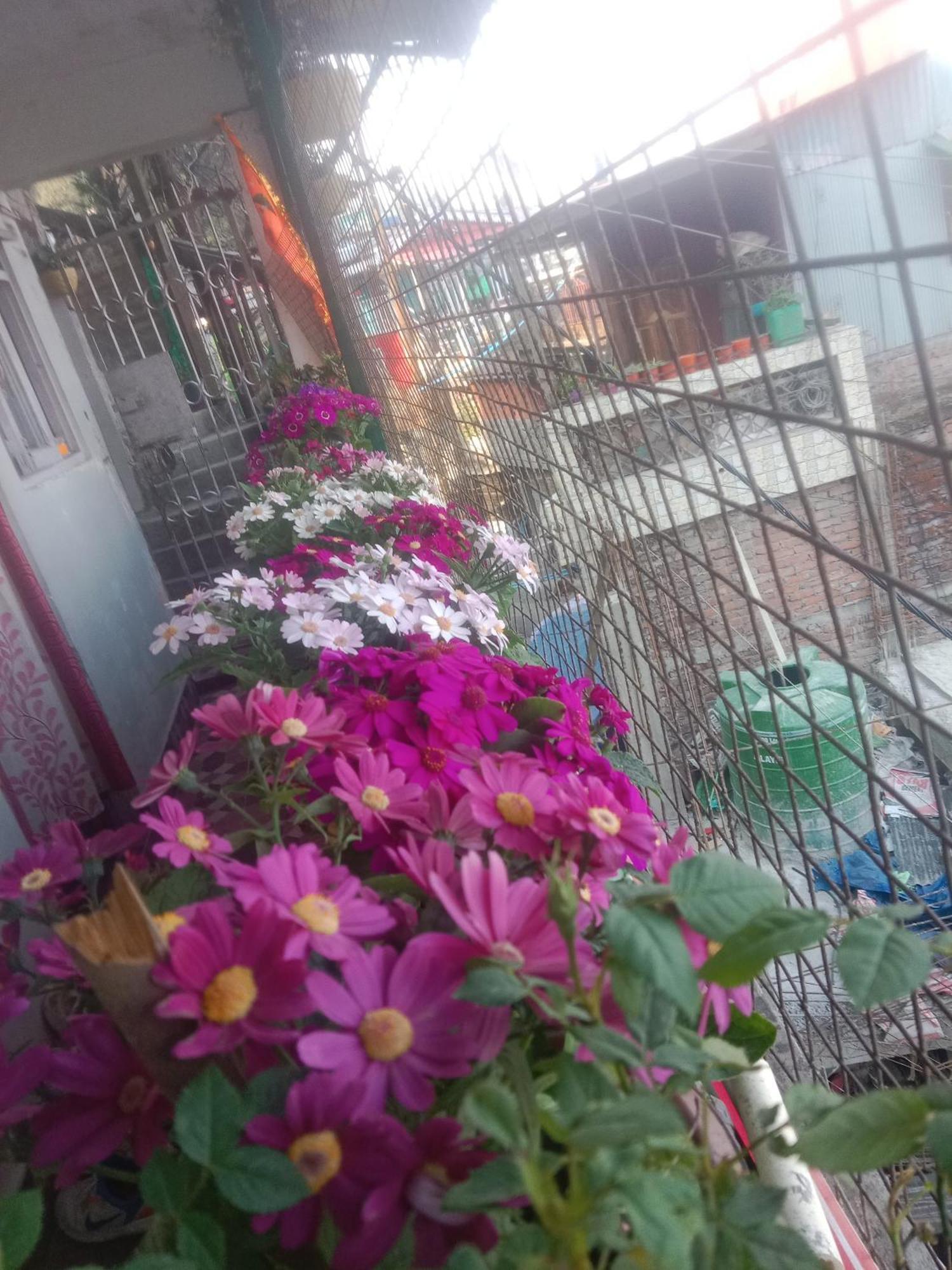 Beverly Hills Darjeeling (West Bengal)