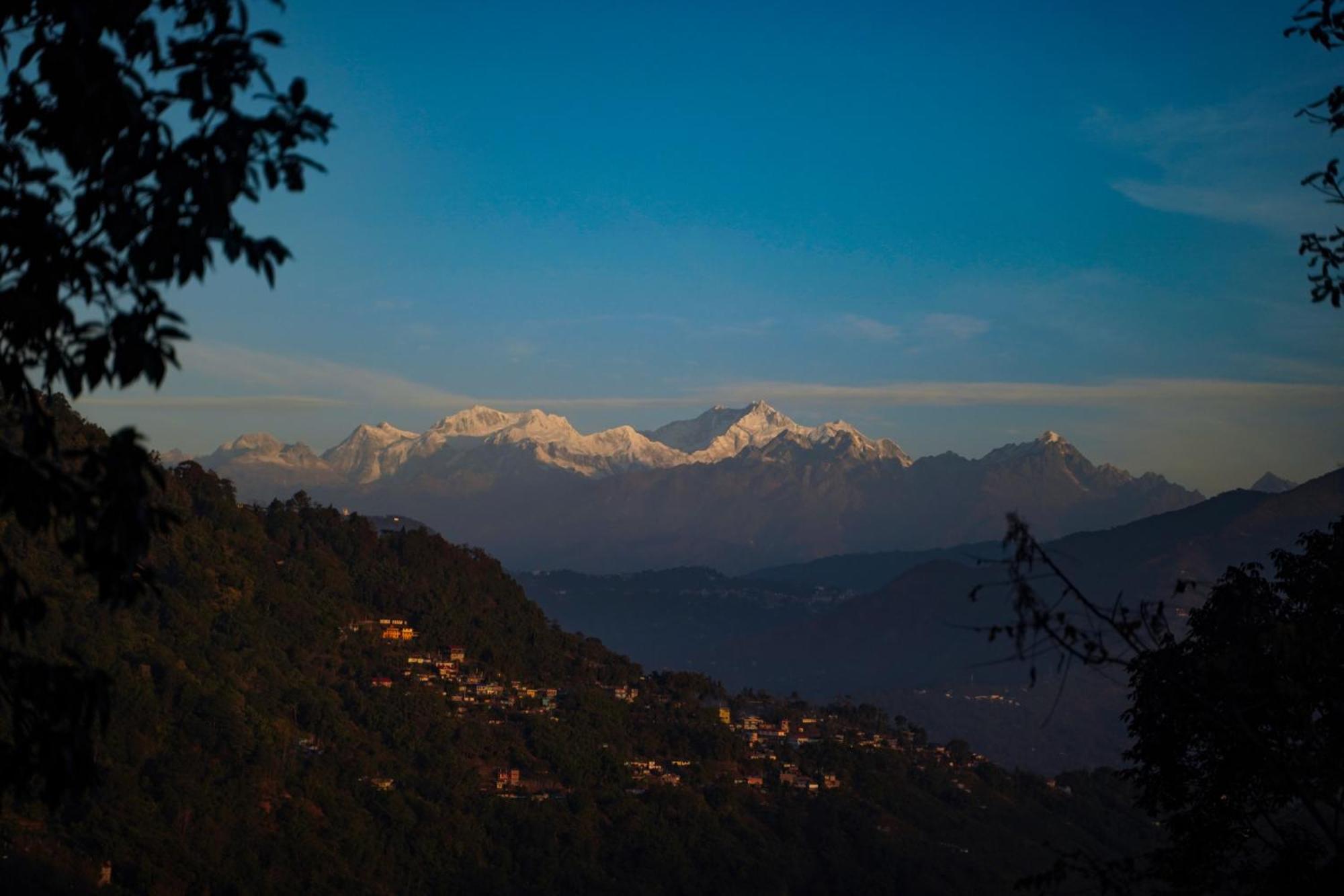 Rongong Farms - A Unit Of Dream Group Of Darjeeling (West Bengal)