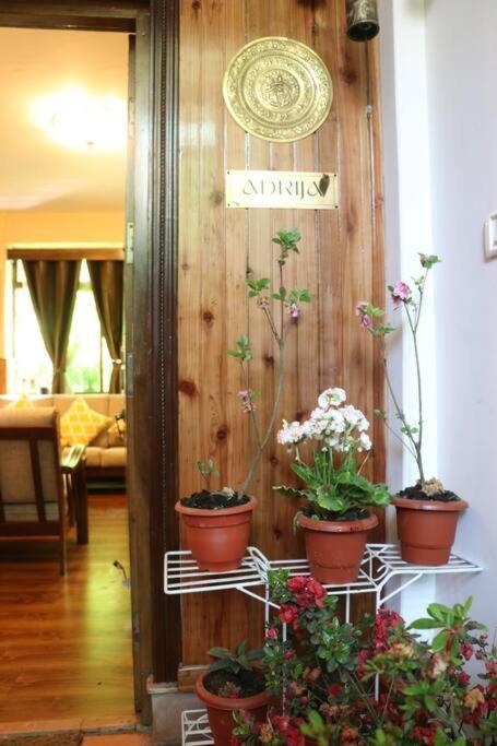 Apartment Adrija Luxury Homes, Kanchenjunga View, 2000 Sqft *