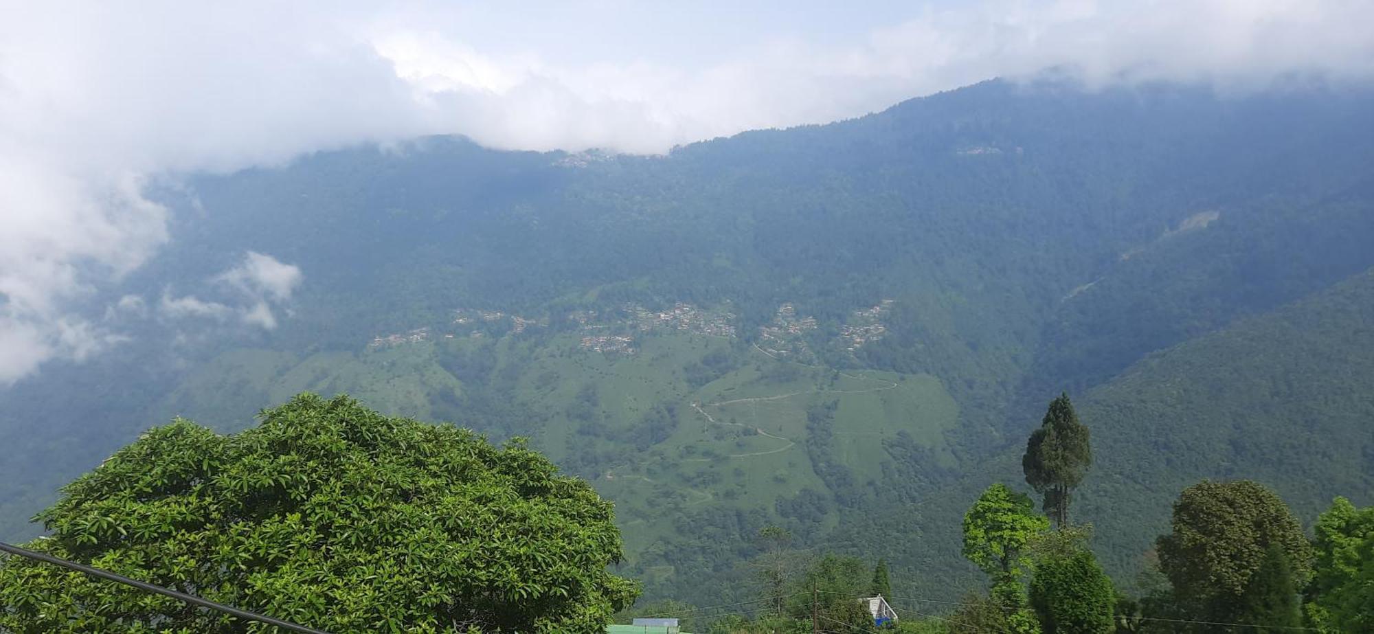 Mountain Valley * Darjeeling (West Bengal)