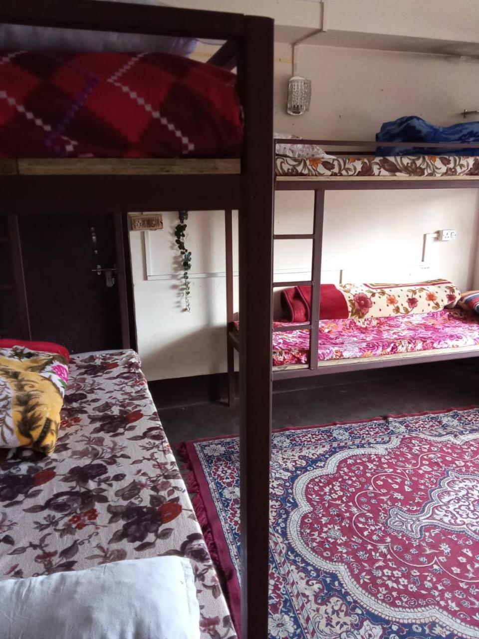 Hostel Backpackers Hub *