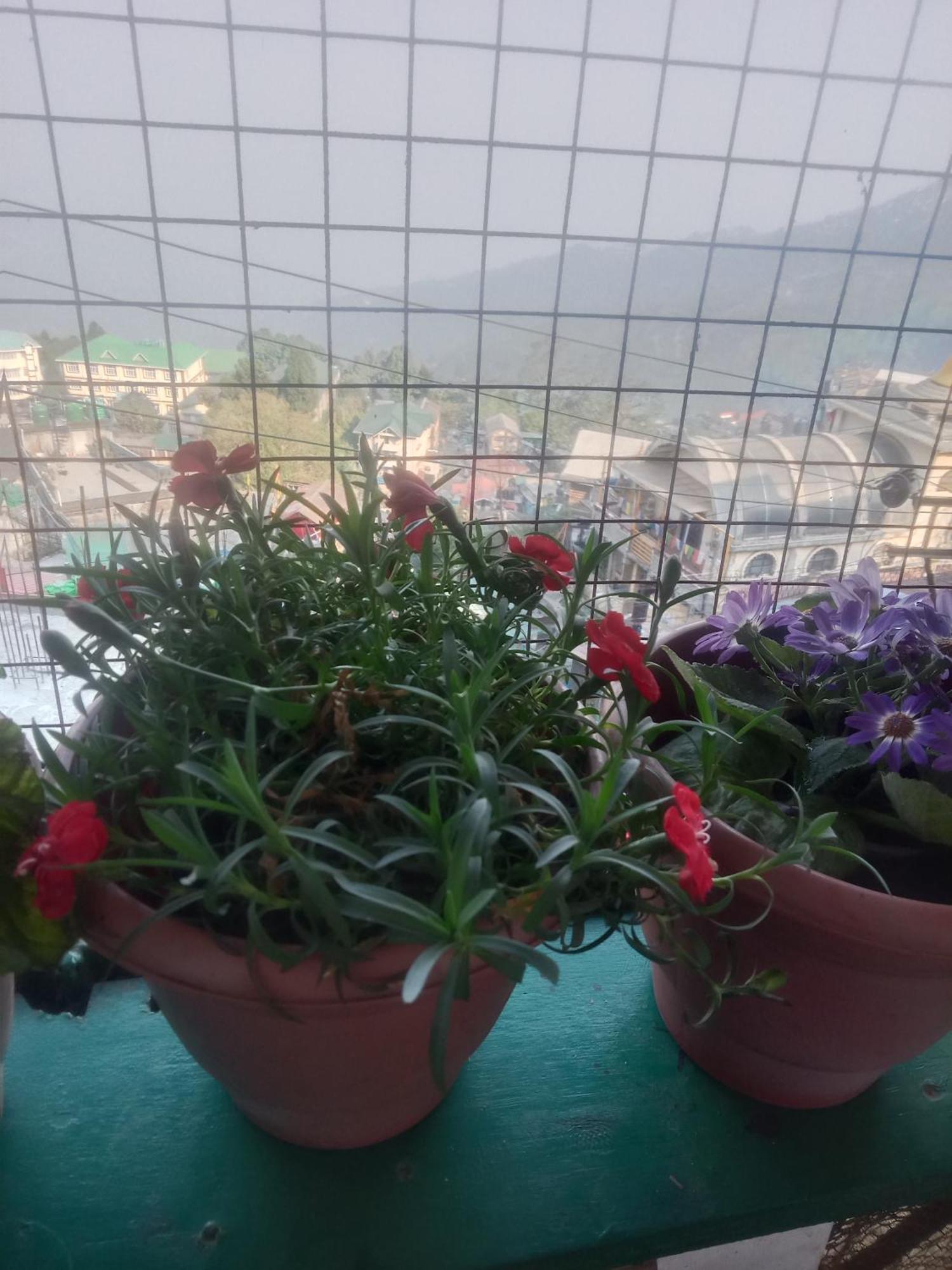 Beverly Hills Homestay Darjeeling (West Bengal)