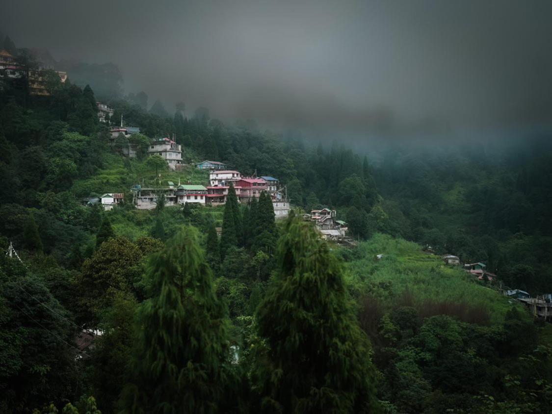Graham Hill's Darjeeling (West Bengal)