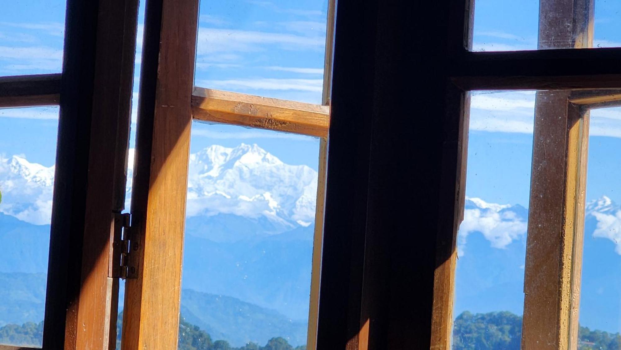 Veronica Alpina Mountain View * Darjeeling (West Bengal)