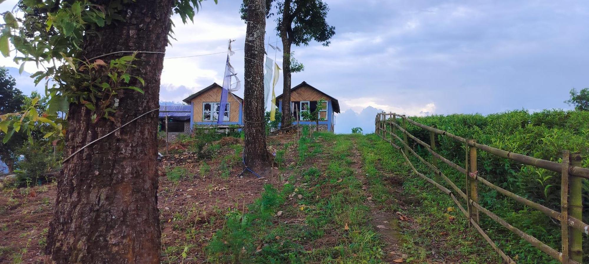 Himali Danda Homestay