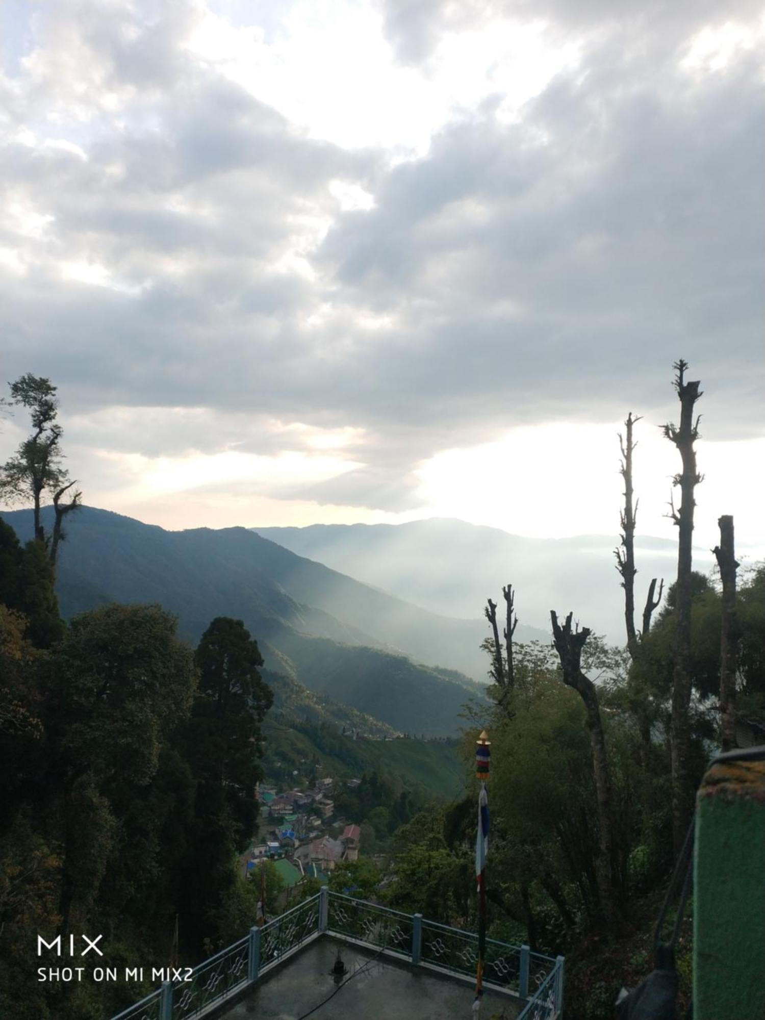 Lepcha Darjeeling *