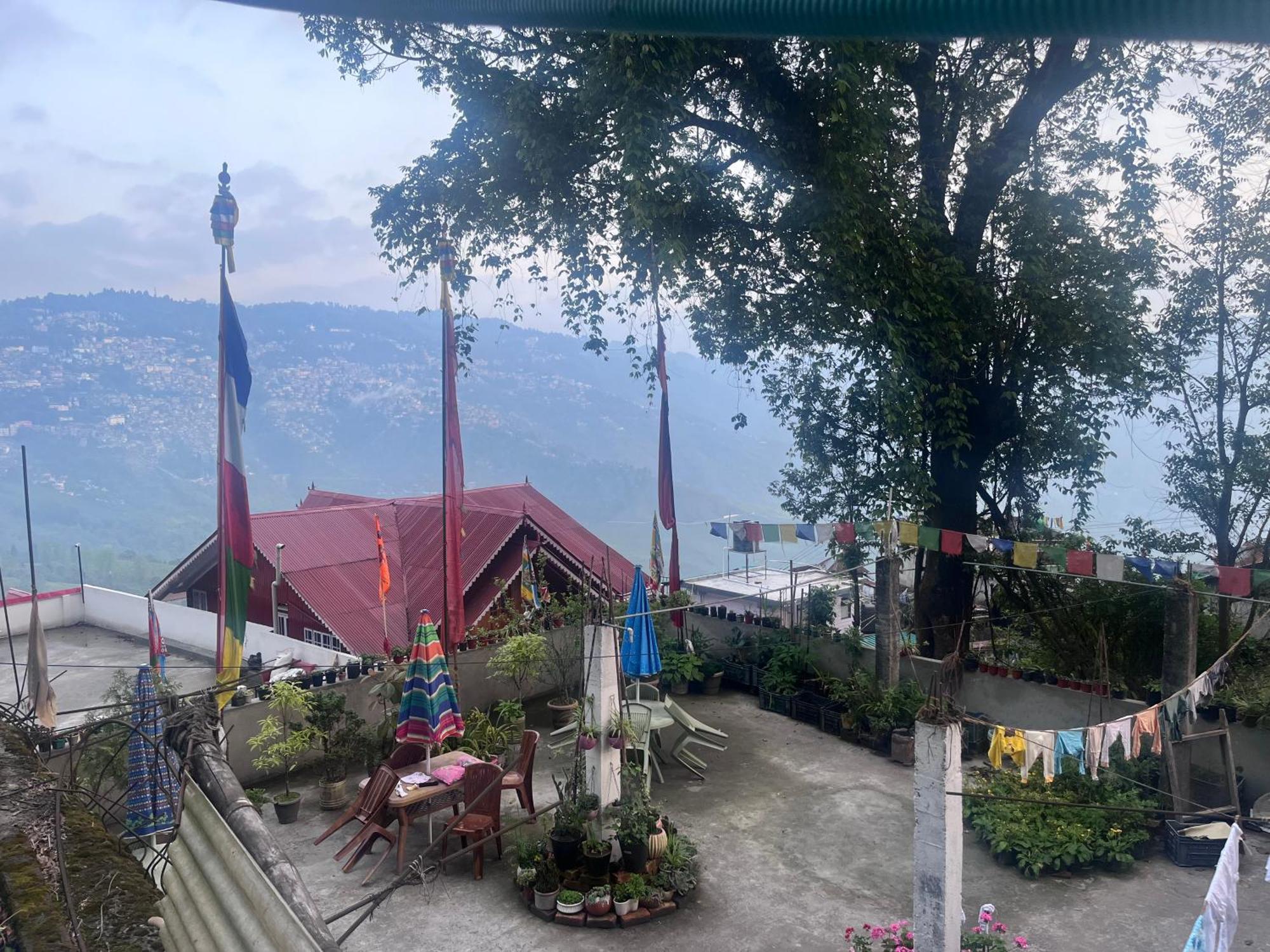 Zimba Happy * Darjeeling (West Bengal)